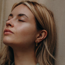 Load image into Gallery viewer, Gold Drop earrings
