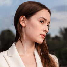 Load image into Gallery viewer, Silver Leo earrings