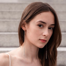 Load image into Gallery viewer, Silver Leo earrings